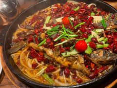 -老板恋上鱼(振华商厦店)