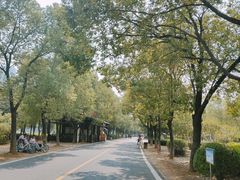 -艾溪湖湿地公园