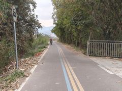 -王借岗森林公园