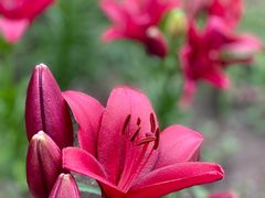 -长春公园(普阳街道)