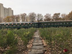 -郑州市世纪公园