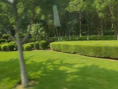 -棒棰岛宾馆景区