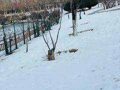 -燕郊植物园
