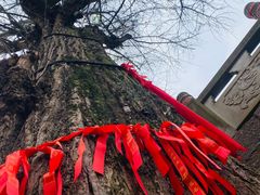 -金堂县云顶石城风景区