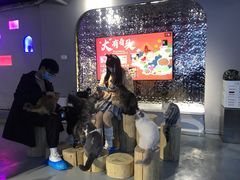 -极木²邸 人与宠物·互动社区
