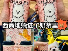 -霸王茶姬(大连万象汇店)