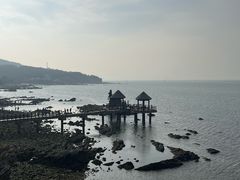 -养马岛旅游度假区
