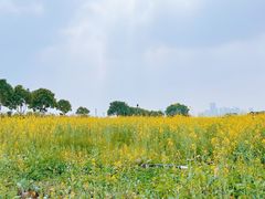 -光明小镇欢乐田园