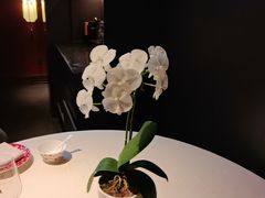 -蘇锦宴·淮扬菜烤鸭·小院(三元桥霄云路店)