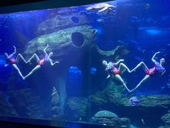 -多彩贵州城极地海洋世界