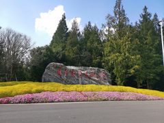 -东平国家森林公园