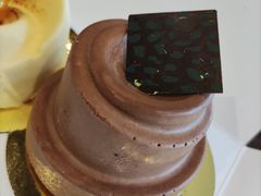 皇室榛子巧克力摩丝蛋糕-老佛爷饼店