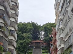 -郑和公园