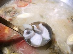 -土著渔匠·养生蝴蝶鱼(香樟路店)