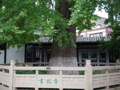 -常熟方塔园