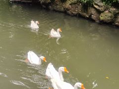-兰亭风景区