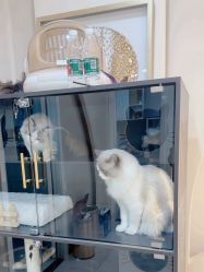 点击看大图 -花系美·美甲美睫精品店