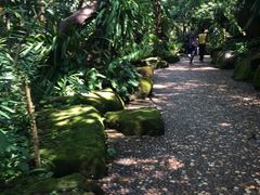 -绿光森林餐厅