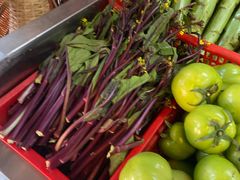 -雅和生态渔庄·宜城锅巴饭(龙灵山公园店)