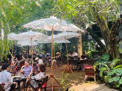 -Fern Forest Cafe