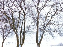 -汉长安城未央宫国家考古遗址公园