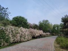 -老君堂公园