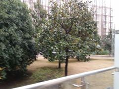 android_upload_pic-上海虹桥迎宾馆
