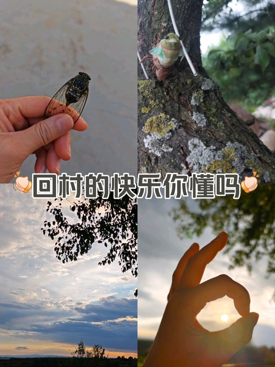 农村的快乐你不懂