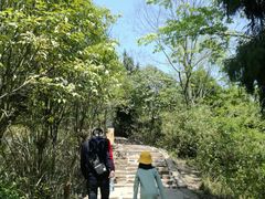 -金堂县云顶石城风景区