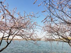 -大兴滨河森林公园