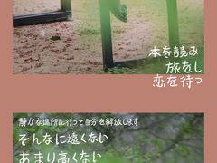 -天适樱花悠乐园