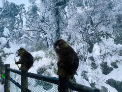 -峨眉山风景名胜区