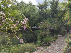 -上海醉白池公园