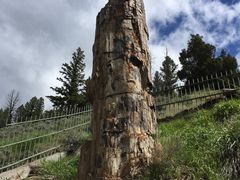 -拉马尔山谷