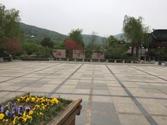 -香雪海