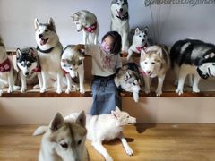 -Husky Go! 哈士奇体验馆·宠物咖啡厅狗咖