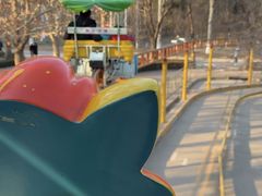 -朝阳公园游乐园