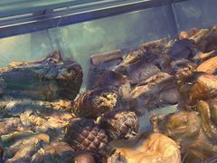 -一手店(五道口店)