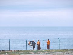 -青海湖国家重点风景名胜区