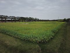 -迪茵湖田家舍生态农场