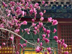 -潭柘寺景区