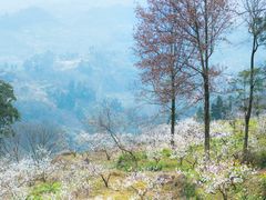 -樱桃山旅游景区