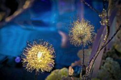 -Pink Gold Wedding·婚礼设计