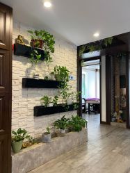 -青青一生美皮肤管理