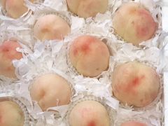 -西郊国际农产品交易中心