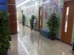 -茂菊口腔连锁(浦东南路店)