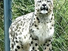 -青藏高原野生动物园