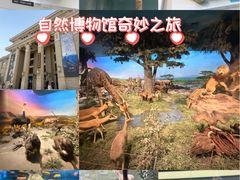 -国家自然博物馆