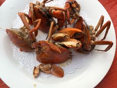 -鑫悦楼煎蟹·16年海鲜大排档