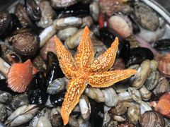 -富临港·蒸汽海鲜·手抓海鲜·炒菜(栈桥店)